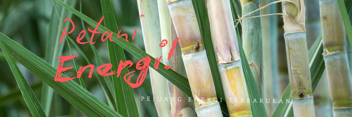 Amazing Andromeda Galaxy